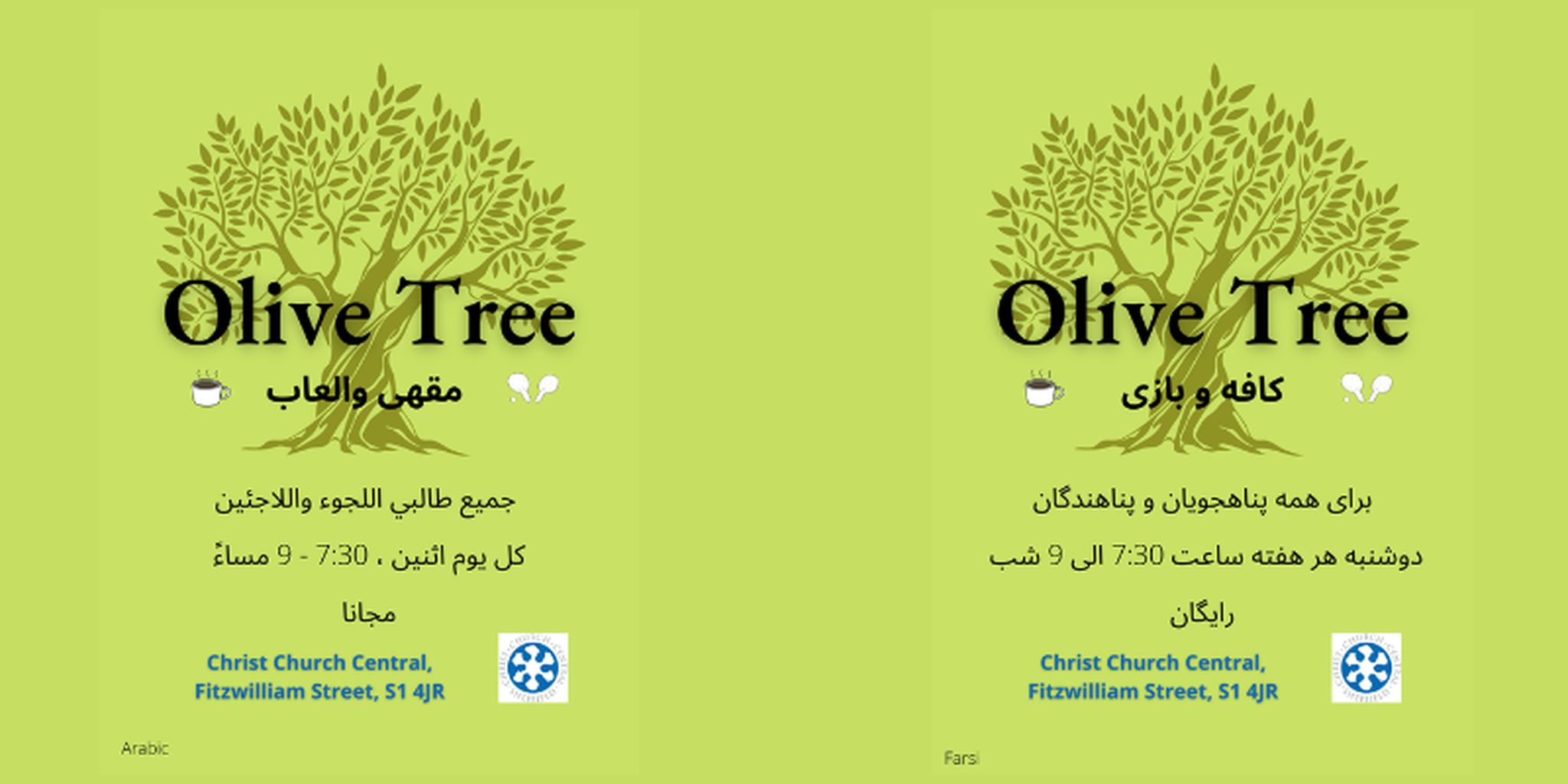Olive tree 2