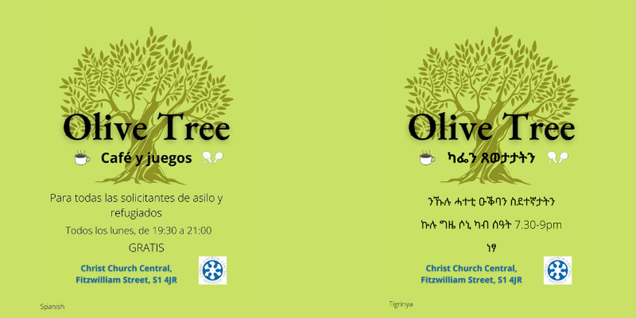 Olive tree 5