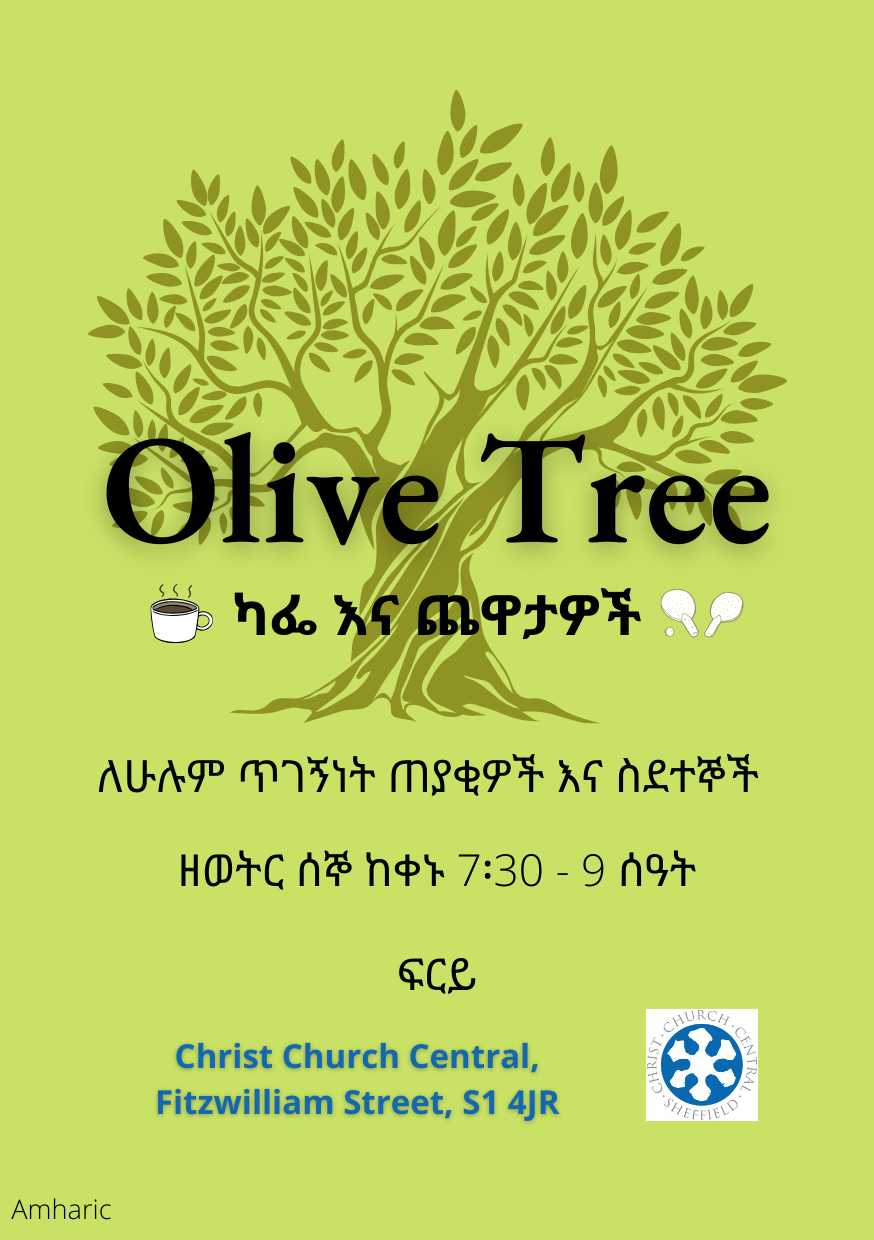 olive tree amharic