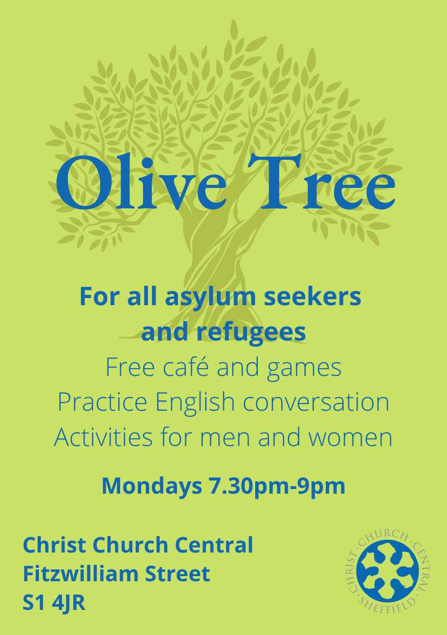 Olive tree 1