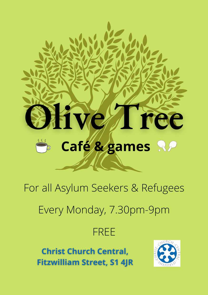 Olive tree english