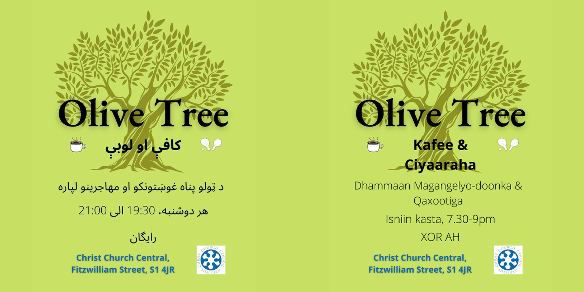 Olive tree 4