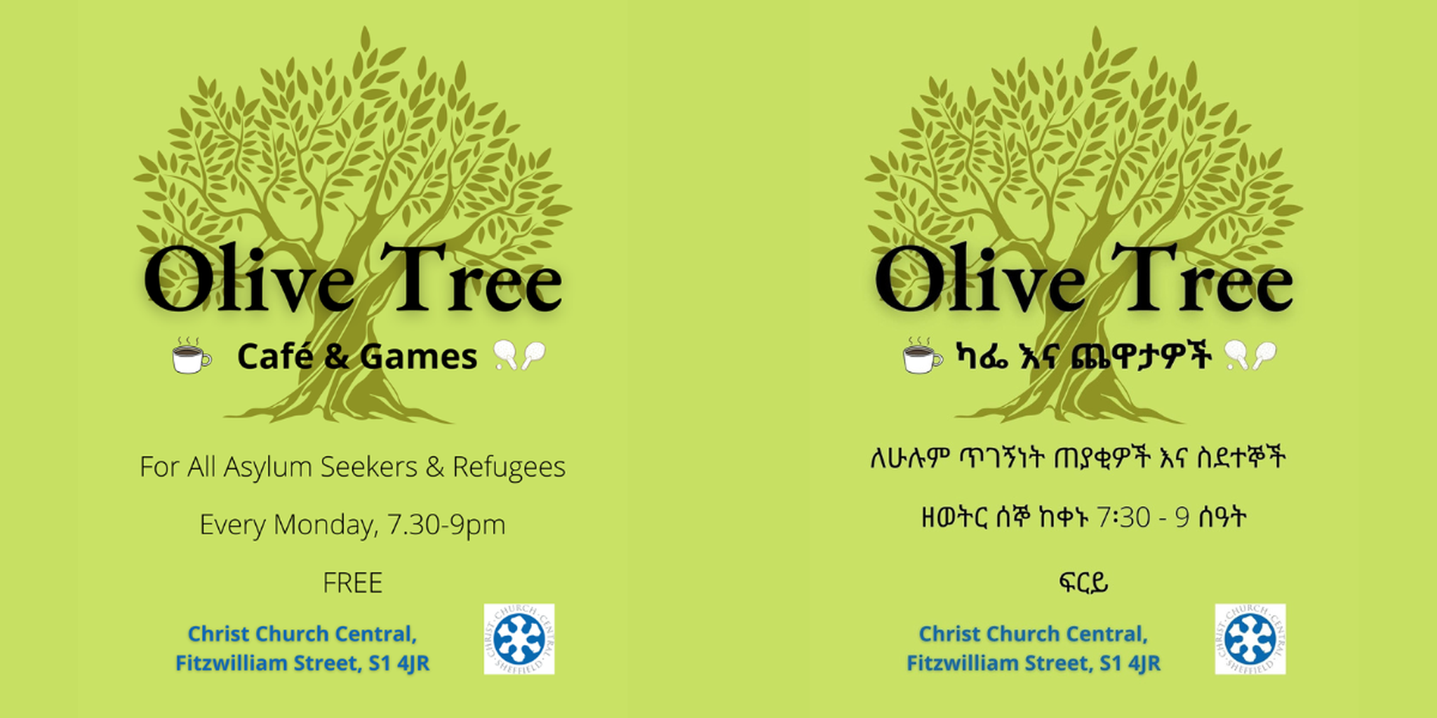 Olive tree 1